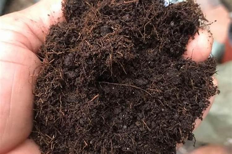 种植人参草炭土适合用什么肥？