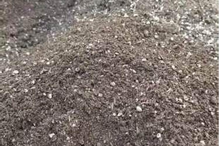 泥炭土和草炭土的区别是什么