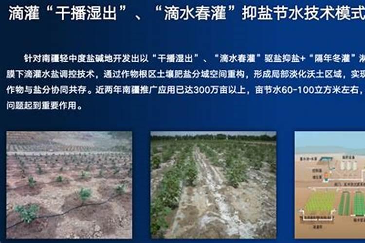 腐植酸叶面肥的具体作用是什么？什么时候用效果最好？