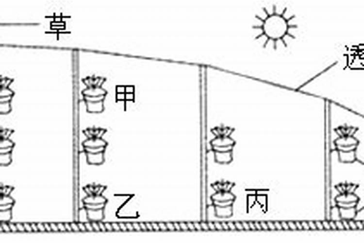气肥是什么