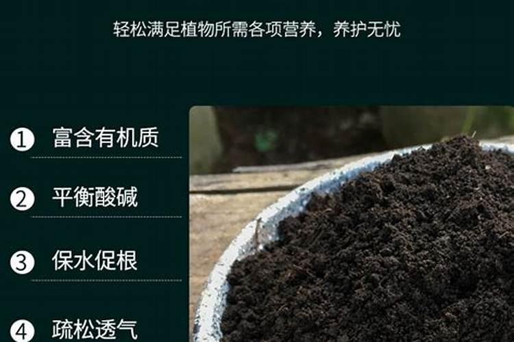 腐植酸水溶肥有哪些优点
