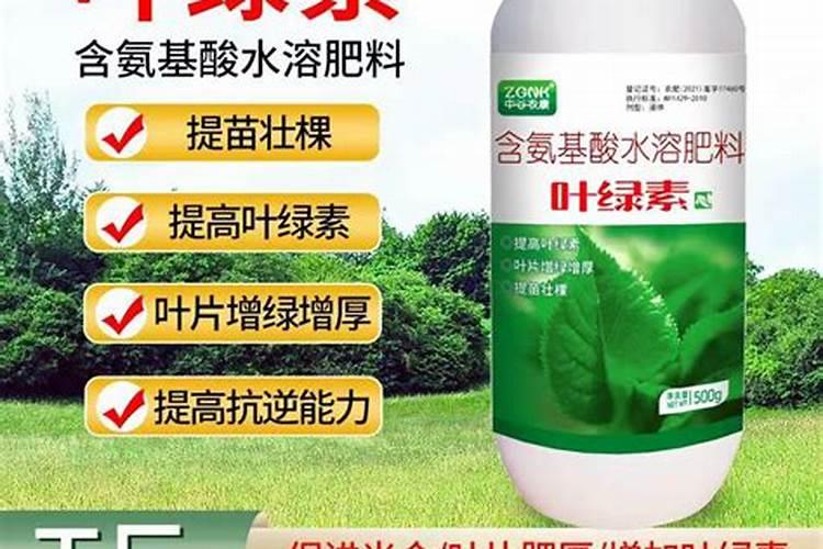 苦瓜施什么肥才挂果多
