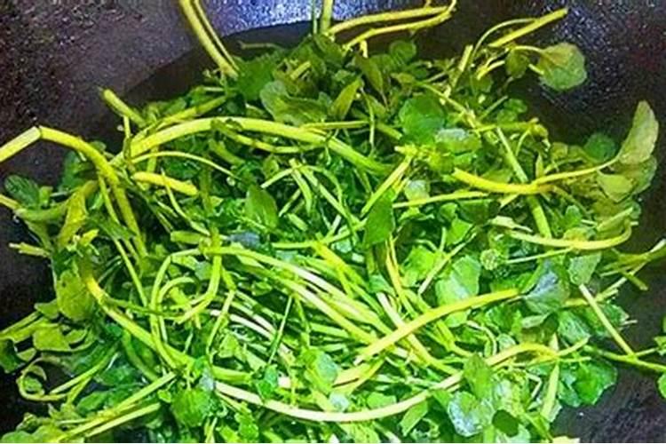 七月份适合种植什么疏菜。
