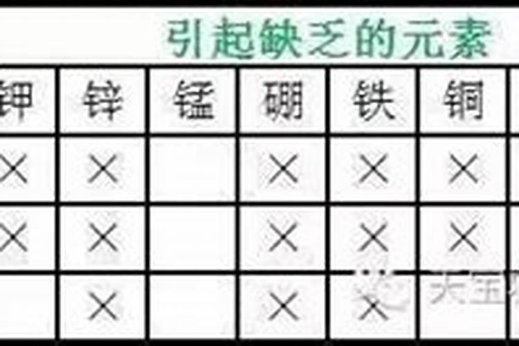 滴灌玉米施肥方法与量