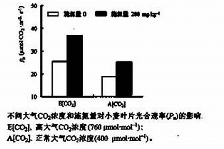 秋石斛兰一年开几次花 秋石斛兰怎么才能开花