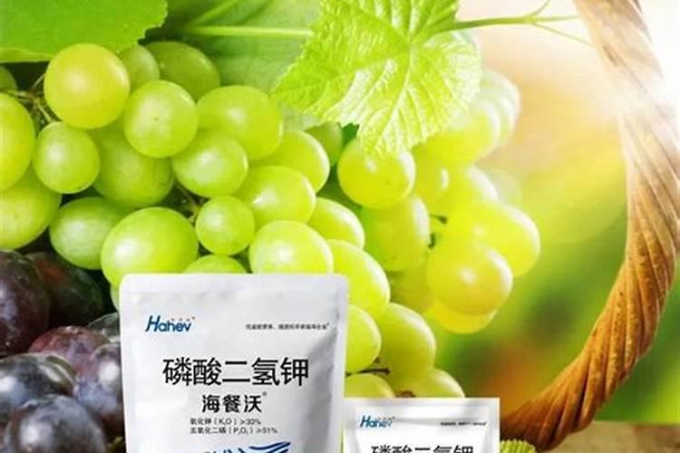 萝卜什么时候喷磷酸二氢钾