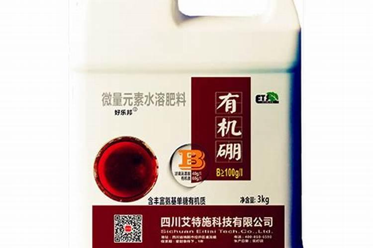 杨梅打什么农药好