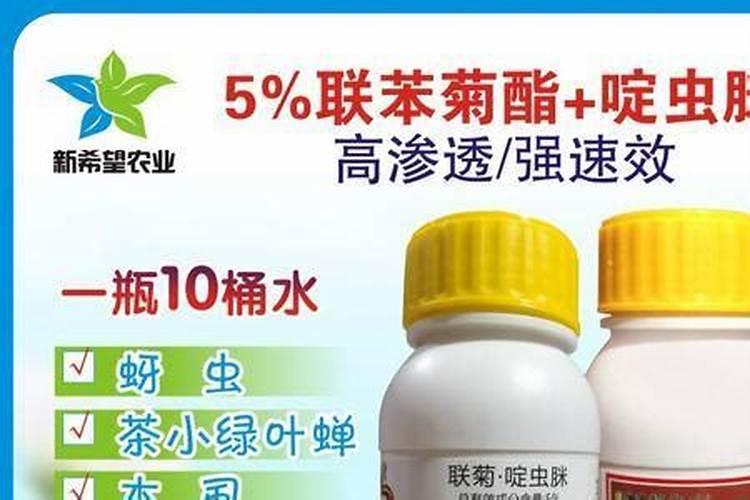求指点,桂花掉叶子,叶边缘变褐色