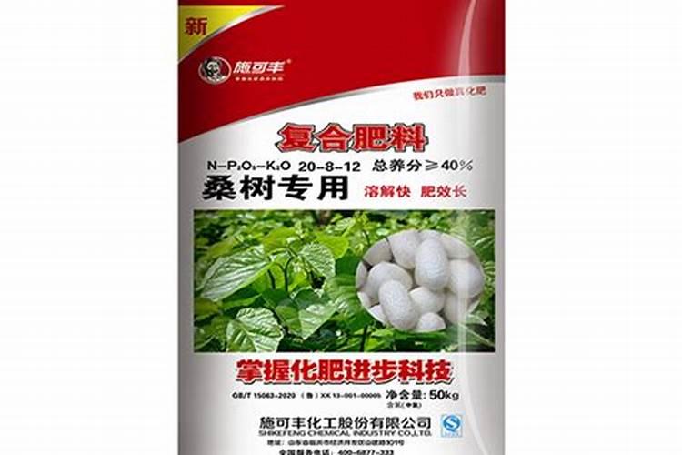 桑树该怎么种？急!!!……
