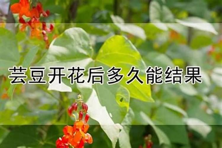 钙镁锌硼是硫酸二氢钾吗？