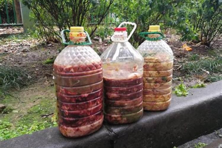 香葱头什么时候留种最好