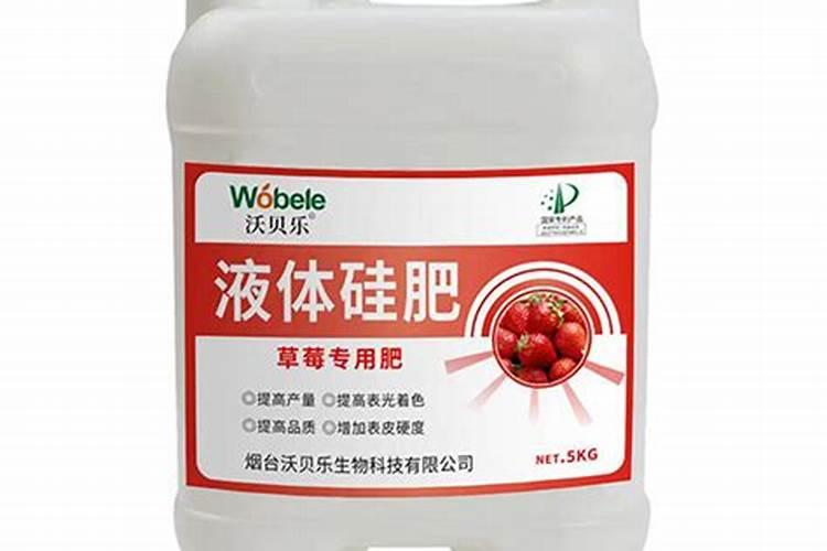 草莓的种植季节即将到来,使用硅肥做基底肥,会有什么样的功效？