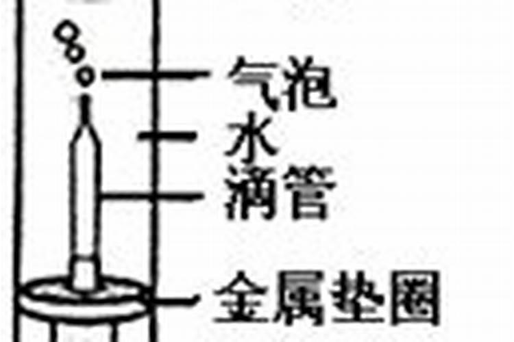 番茄苗叶片发黄是什么原因