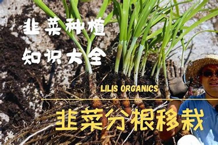 去除绿水的最棒方法是啥？