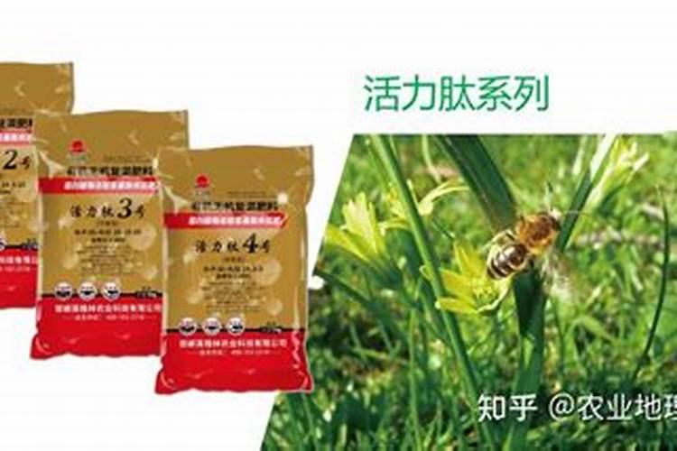 碧先达氨基酸水溶肥的效果