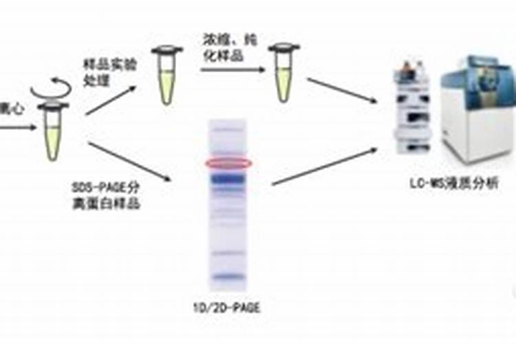 水溶肥什么品牌好？