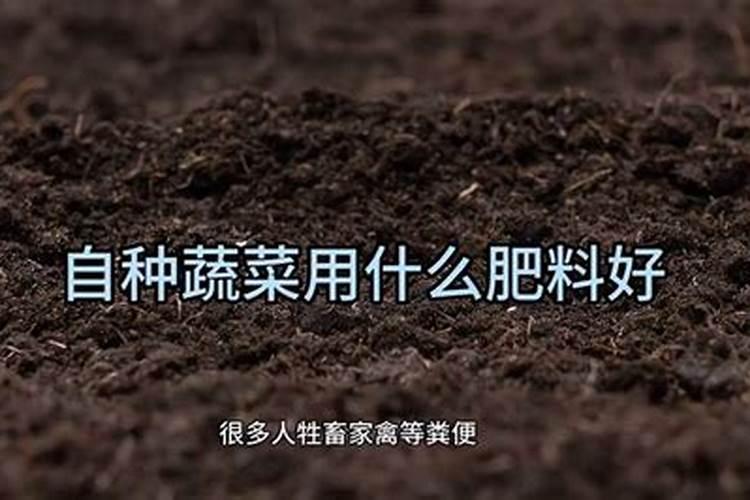种植大白菜用什么肥料最好