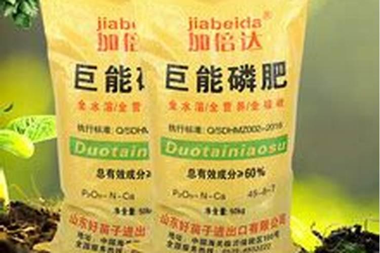 草莓种子多久发芽 草莓种子多长时间出芽
