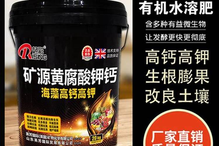 泸州酒厂排名