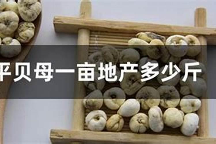 川贝母施什么肥