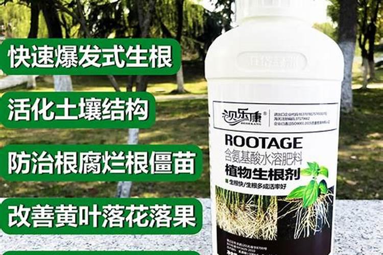一般草花下哪种肥料好