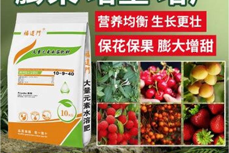 兰花在生长期施什么肥最好？