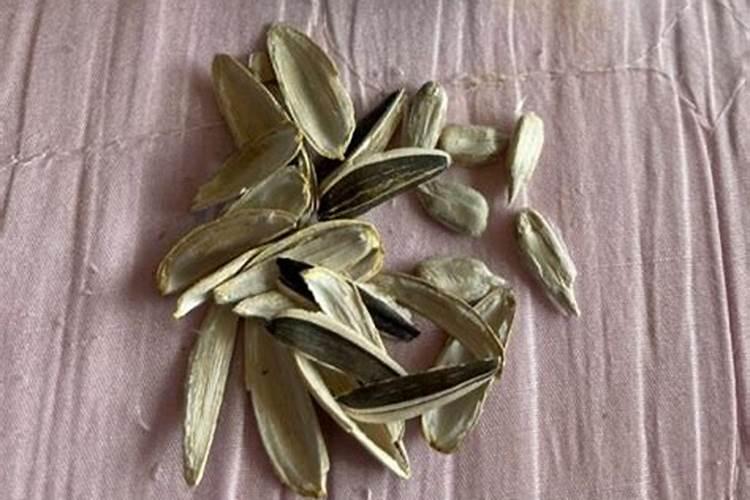 泡沫箱种菜的正确方法
