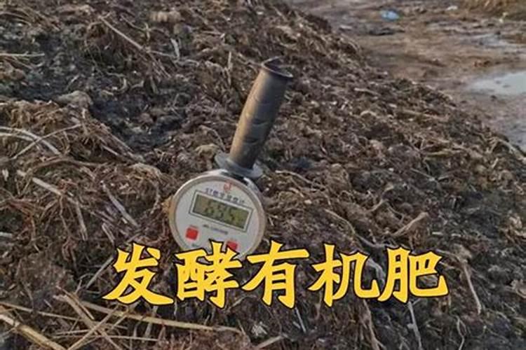 韭菜忌施哪些肥料 施什么肥长的好