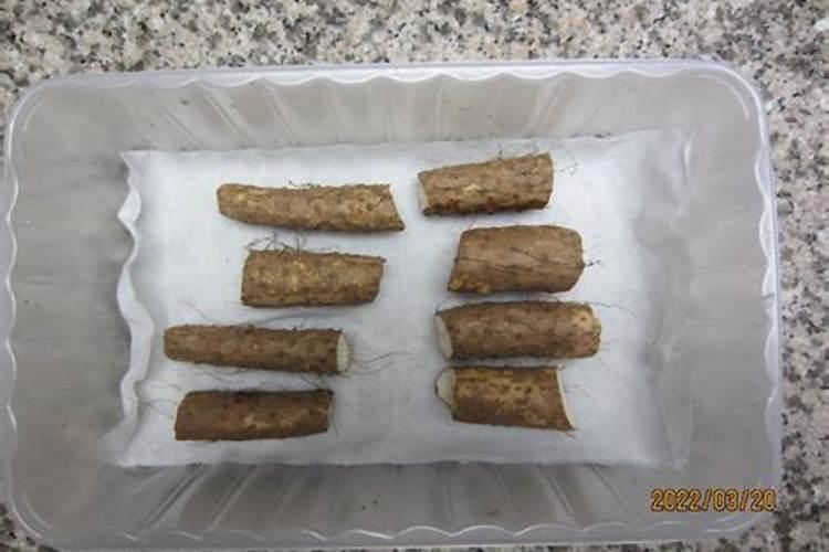 麻山药八月里用什么肥料
