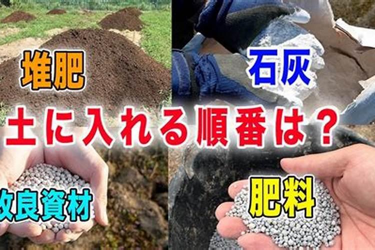 使用硼砂的正确方法