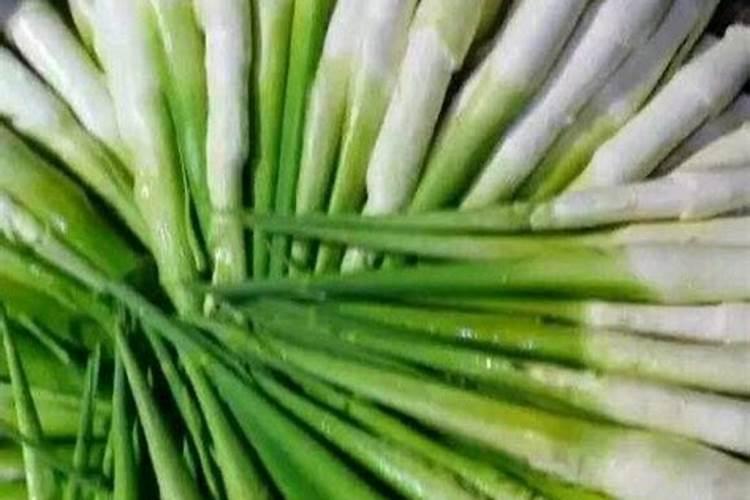 萝卜为什么要补硼肥