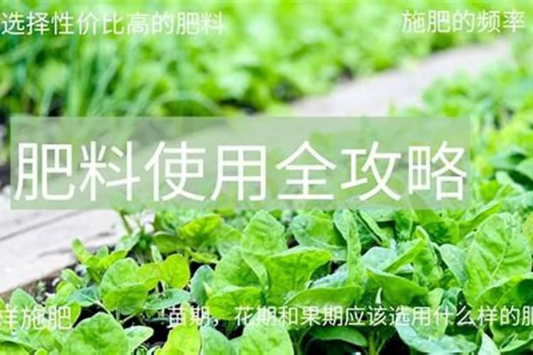 掺混肥如何计算氮磷钾比例