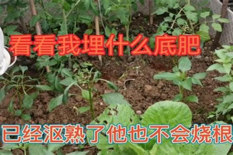 润康是什么产品？有了解的吗？