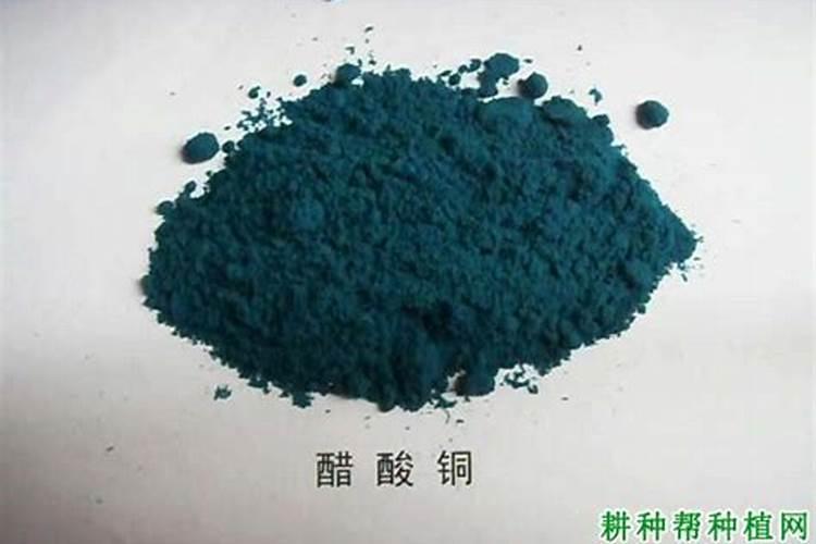 豆角死根要用什农药防治。