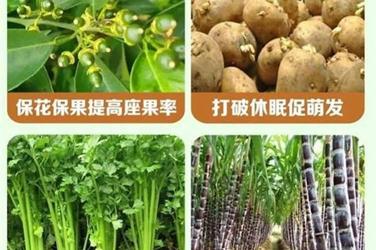 芸苔素, 赤霉素,磷酸二氢钾,能一起用吗