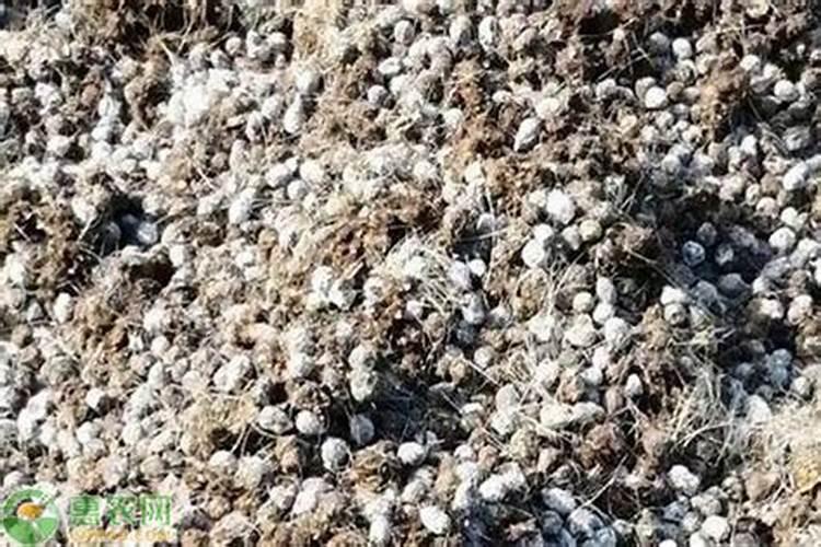 生产复合肥的氮肥 磷肥和钾肥分别有哪些
