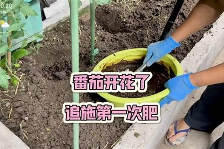 芸苔素与磷酸二氢钾与尿素可一起使用吗？