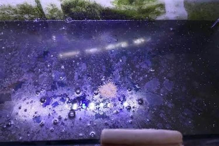 水产腐植酸钠的用途 黄腐酸和腐殖酸的区别
