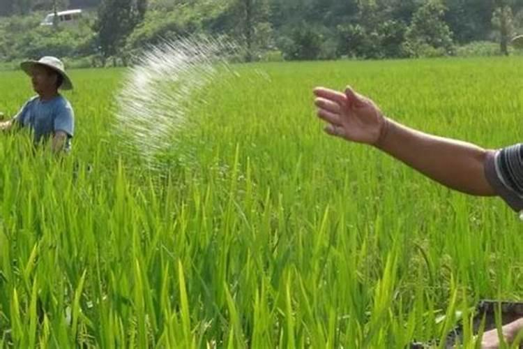 含腐植酸水溶肥料使用方法