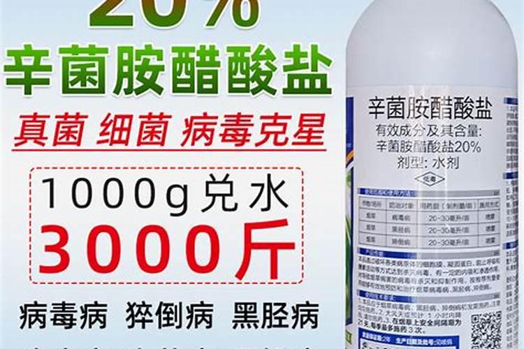 江西哪里的橘子批发价便宜
