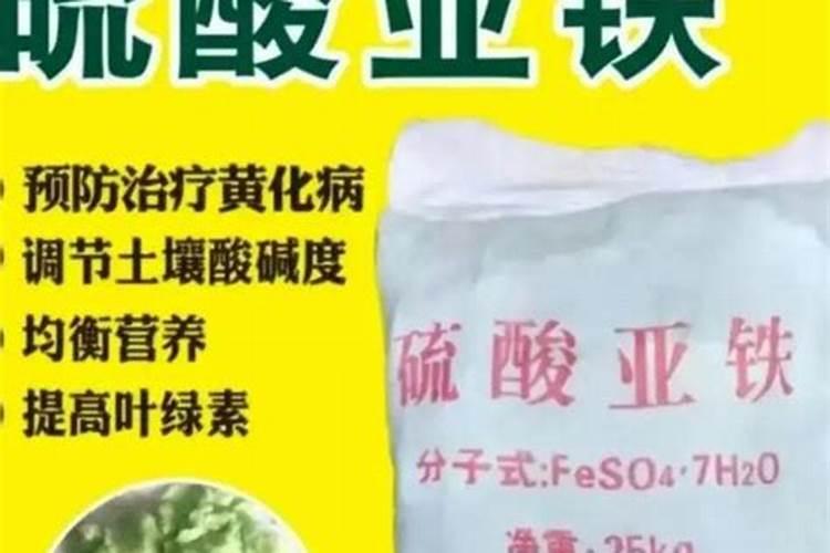 百香果浇什么肥料合适