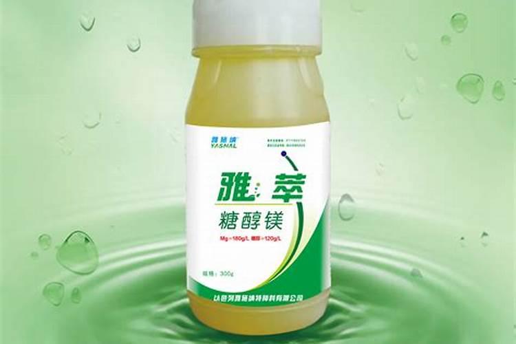 关于我养薄荷那些事儿