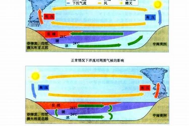 芸苔素几天打一次合适