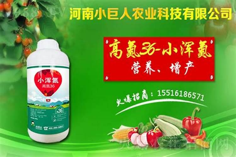 鲁西化肥33含量玉米能不能用