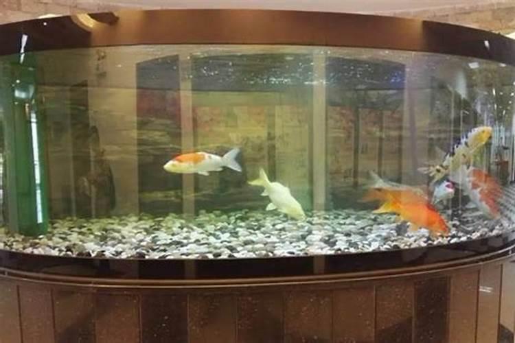 鱼的饲料可以拿来养花吗