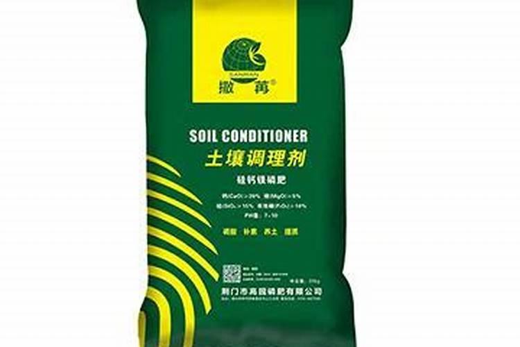 苦菜根最苦还是叶最苦