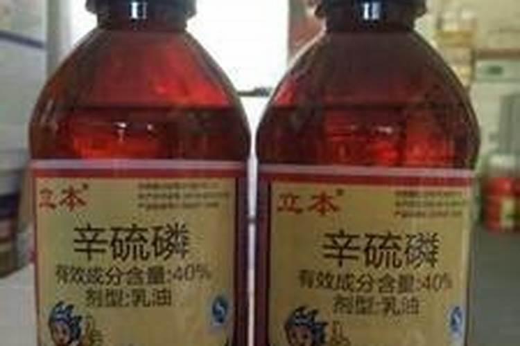草莓的栽培方法