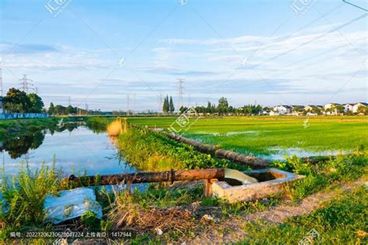 寒地水稻怎么施肥 寒地水稻高产施肥方案