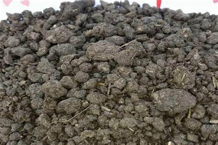 富硒大米种植技术？需要什么富硒肥吗？