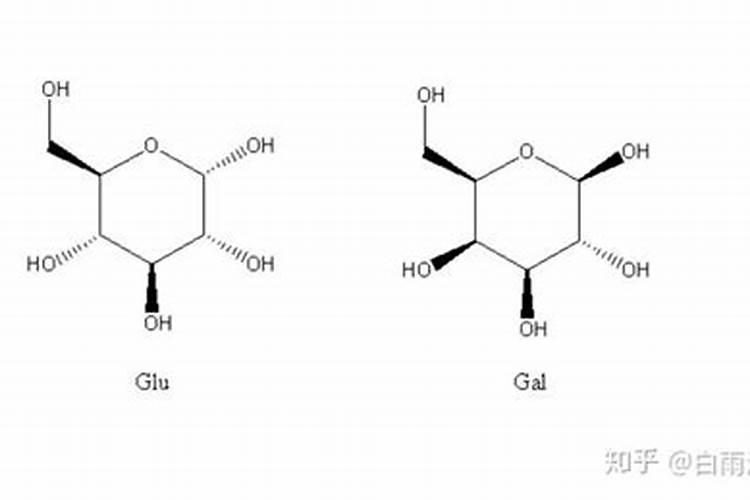 施用农家肥能提高蔬菜的产量主要原因是因为什么